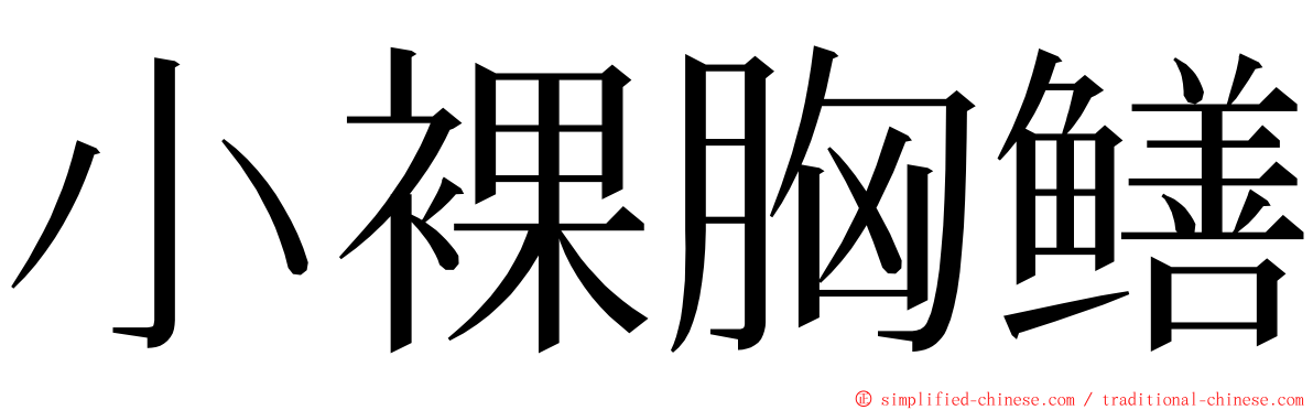 小裸胸鳝 ming font