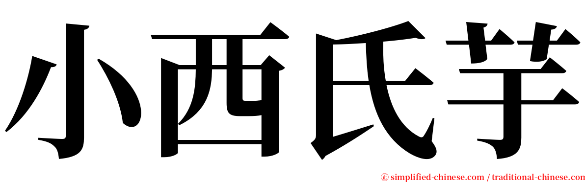 小西氏芋 serif font