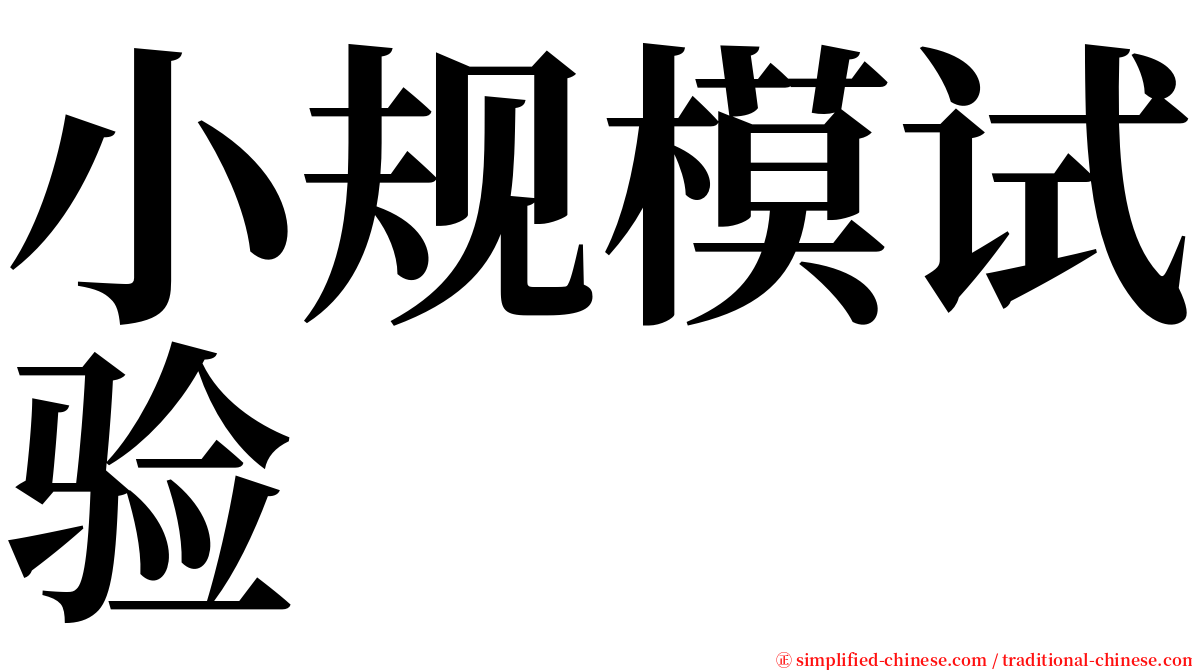 小规模试验 serif font