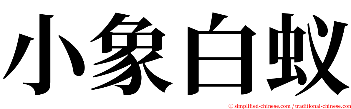 小象白蚁 serif font