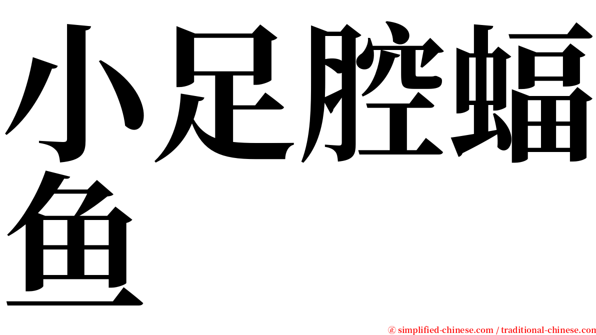 小足腔蝠鱼 serif font