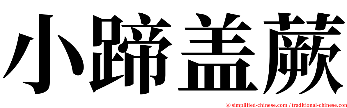 小蹄盖蕨 serif font