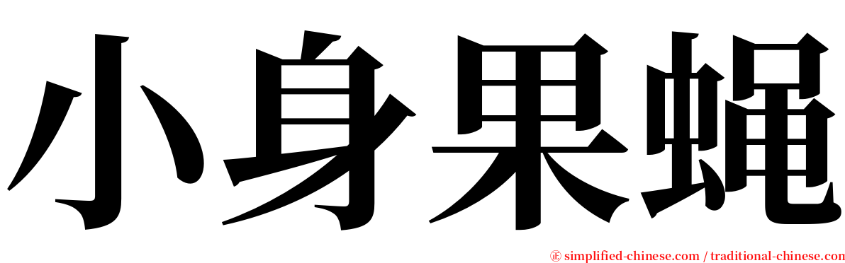 小身果蝇 serif font