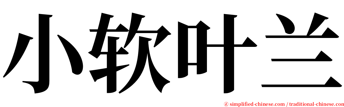 小软叶兰 serif font