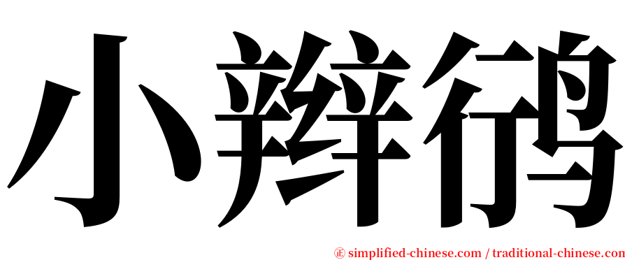 小辫鸻 serif font