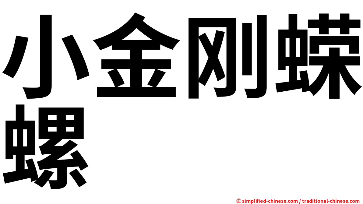 小金刚蝾螺