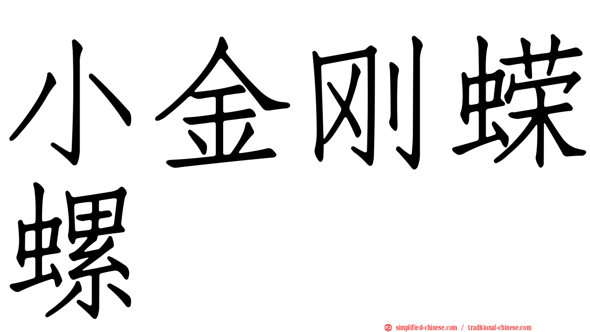 小金刚蝾螺