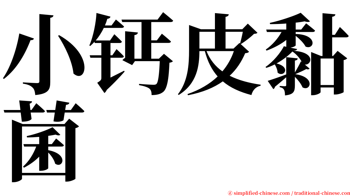 小钙皮黏菌 serif font