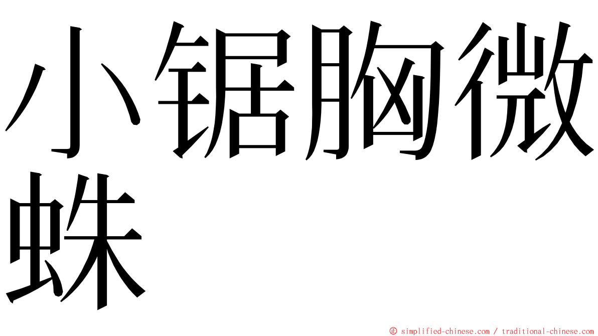 小锯胸微蛛 ming font