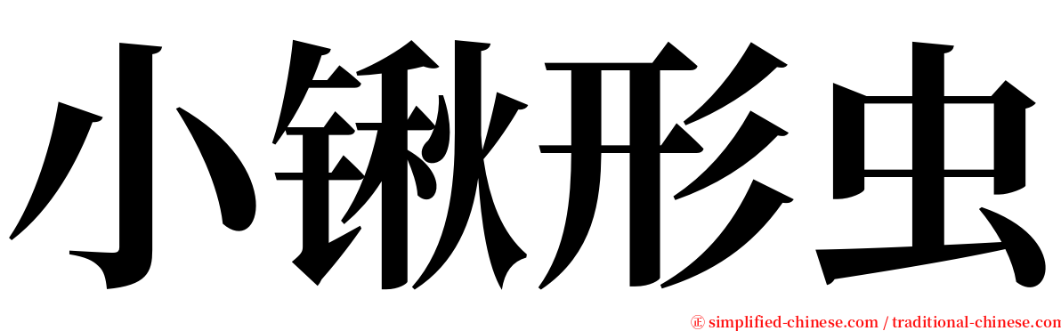 小锹形虫 serif font