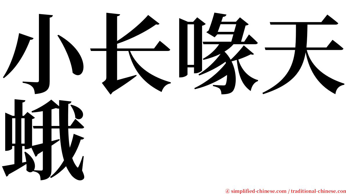 小长喙天蛾 serif font