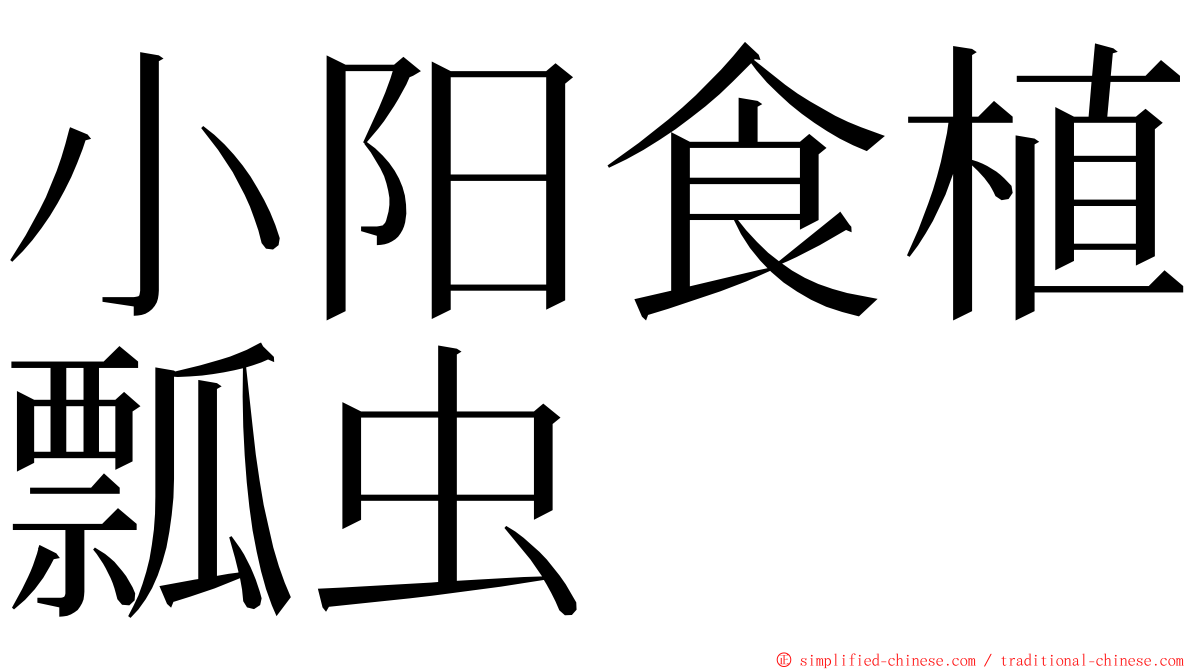 小阳食植瓢虫 ming font