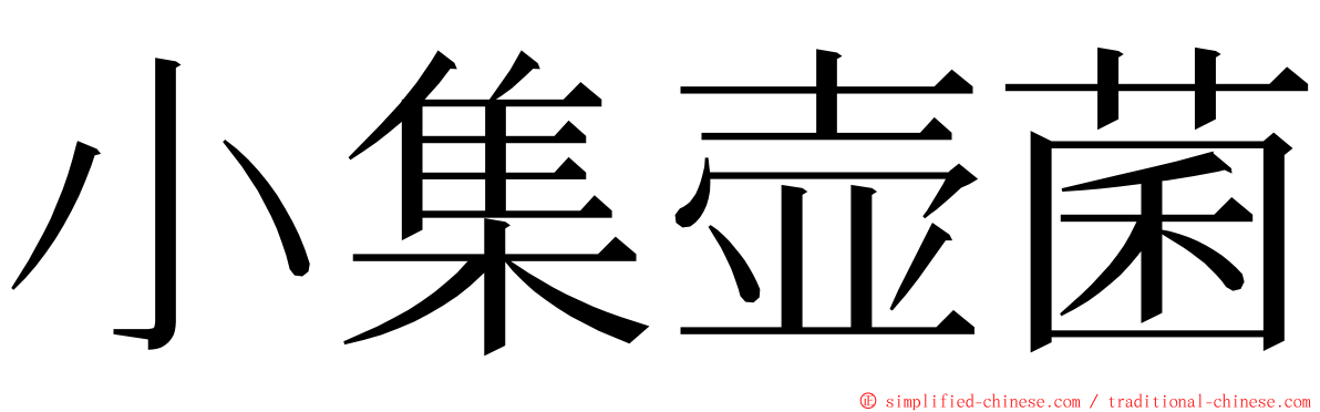 小集壶菌 ming font