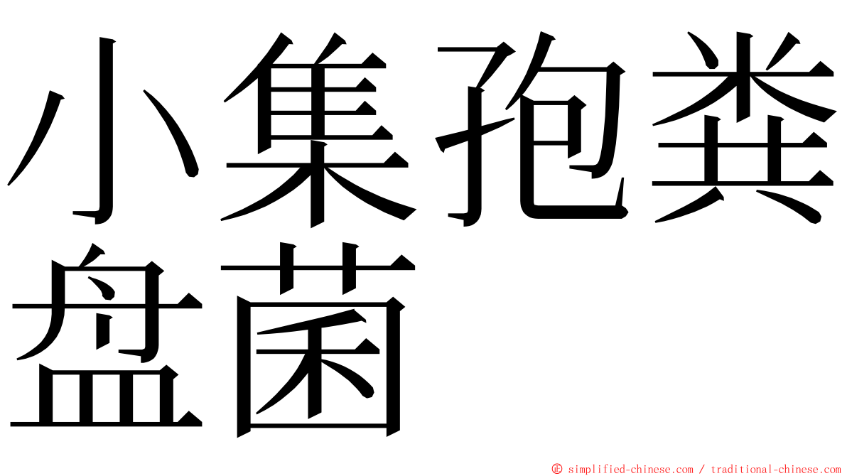 小集孢粪盘菌 ming font