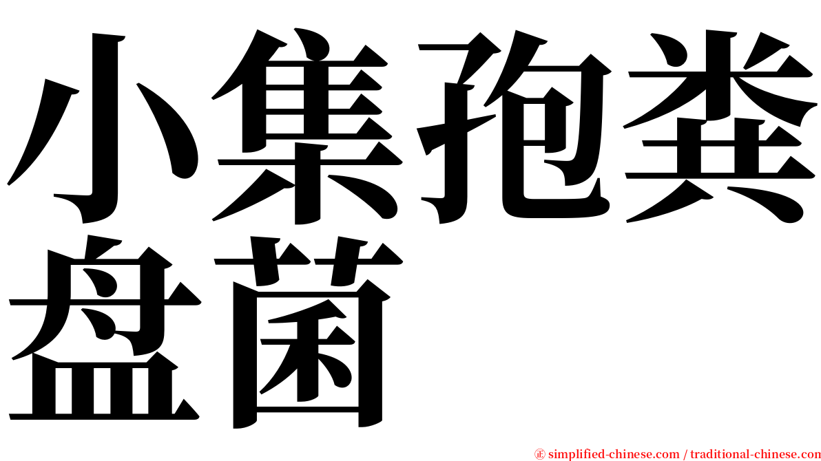 小集孢粪盘菌 serif font