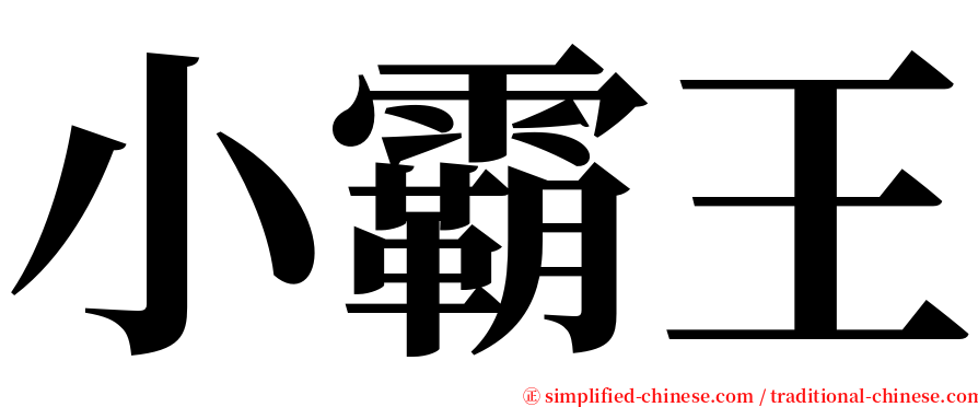 小霸王 serif font