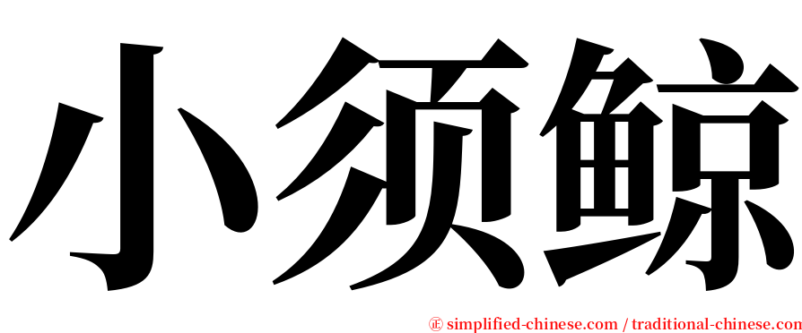 小须鲸 serif font