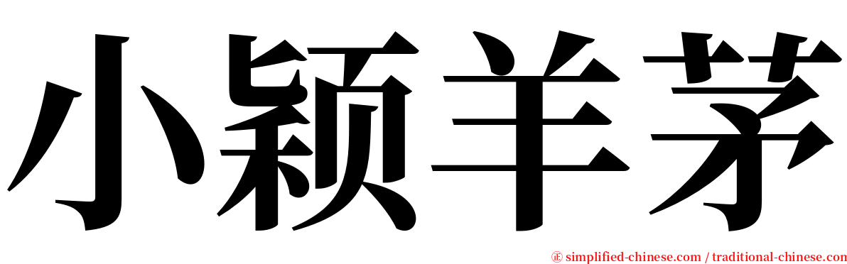 小颖羊茅 serif font