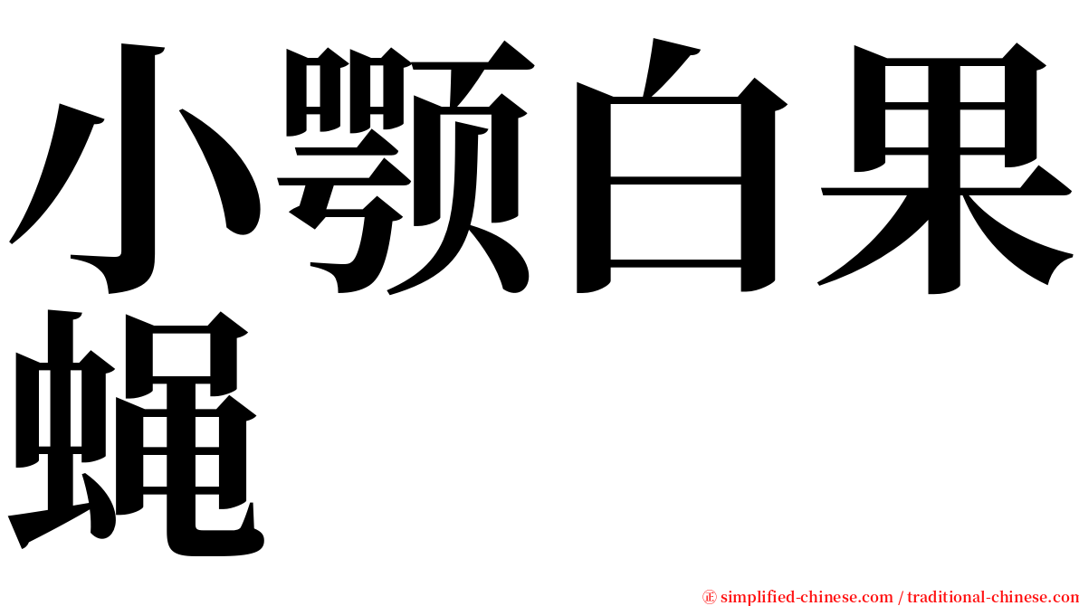 小颚白果蝇 serif font