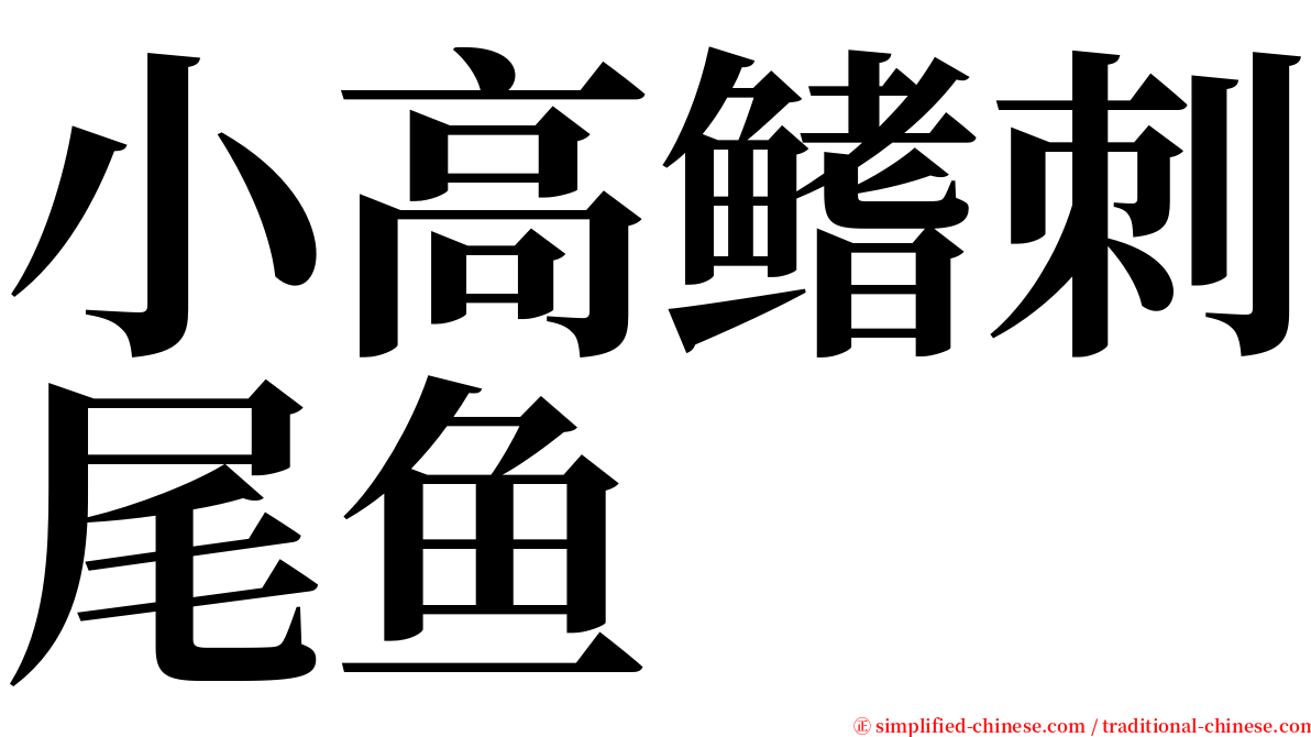 小高鳍刺尾鱼 serif font