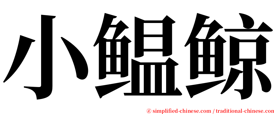 小鳁鲸 serif font