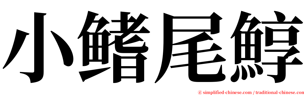 小鳍尾鯙 serif font