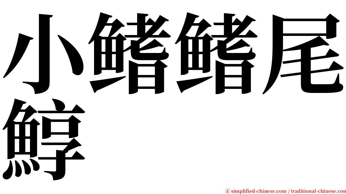 小鳍鳍尾鯙 serif font