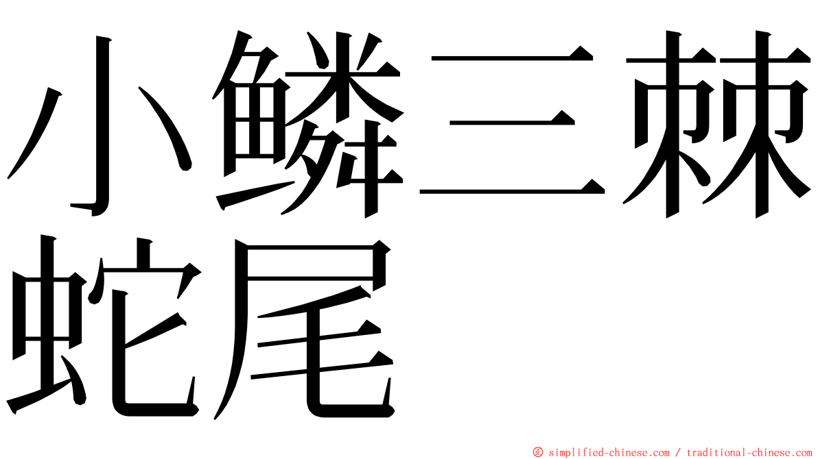 小鳞三棘蛇尾 ming font