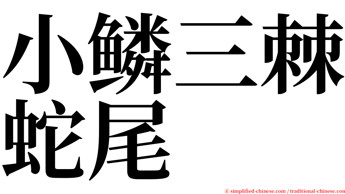 小鳞三棘蛇尾 serif font