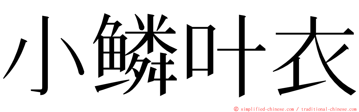 小鳞叶衣 ming font