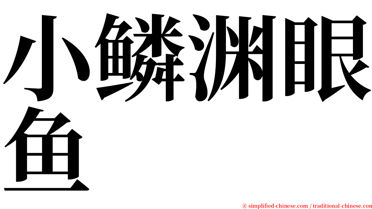 小鳞渊眼鱼 serif font