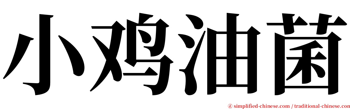 小鸡油菌 serif font