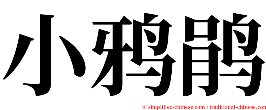 小鸦鹃 serif font