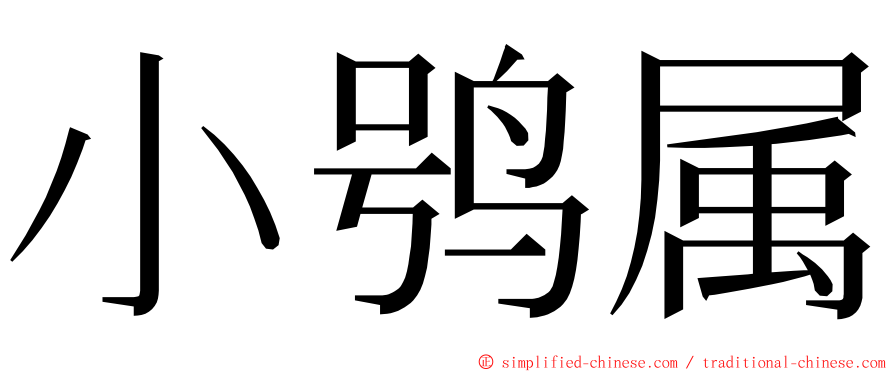 小鸮属 ming font