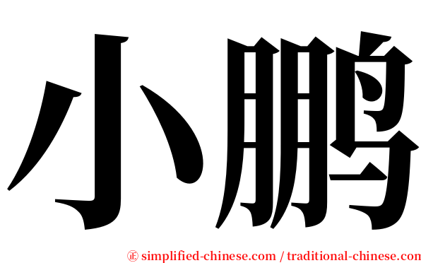 小鹏 serif font