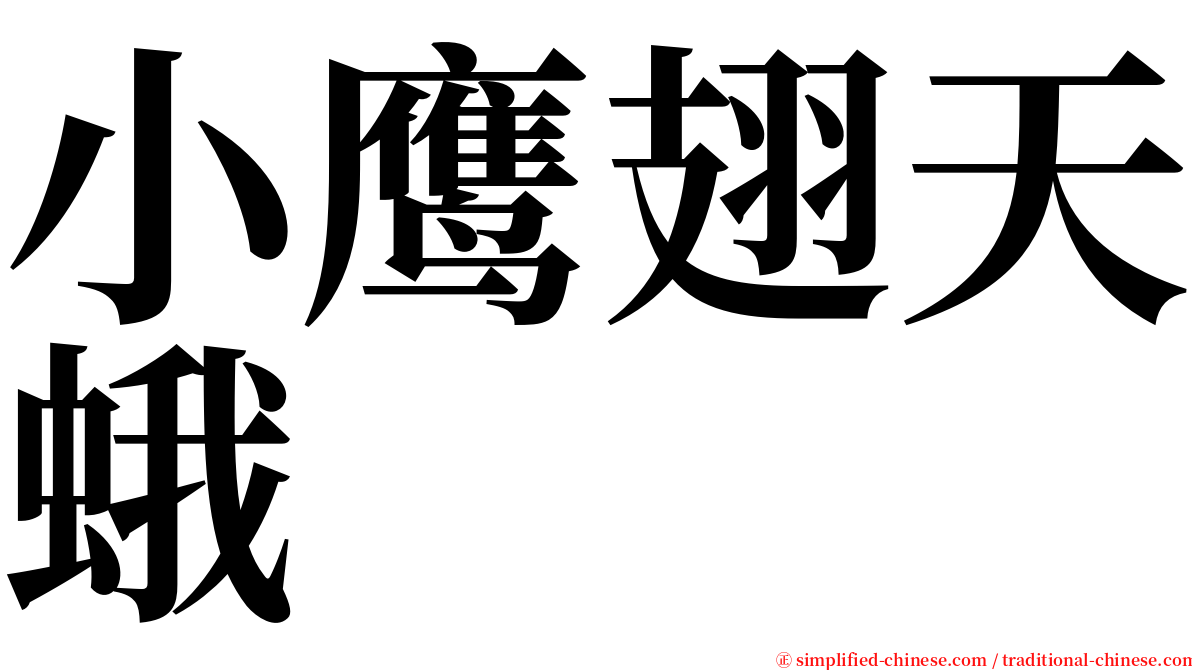 小鹰翅天蛾 serif font