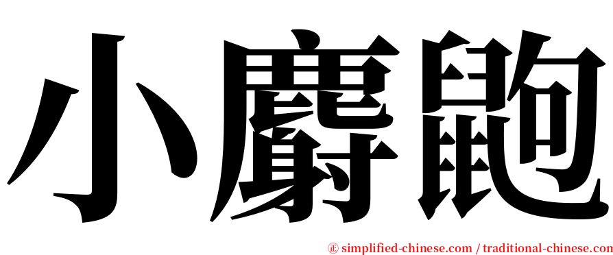 小麝鼩 serif font