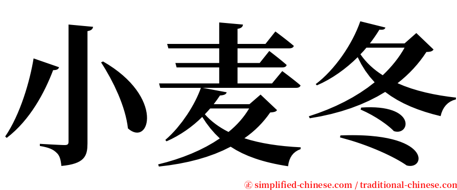 小麦冬 serif font