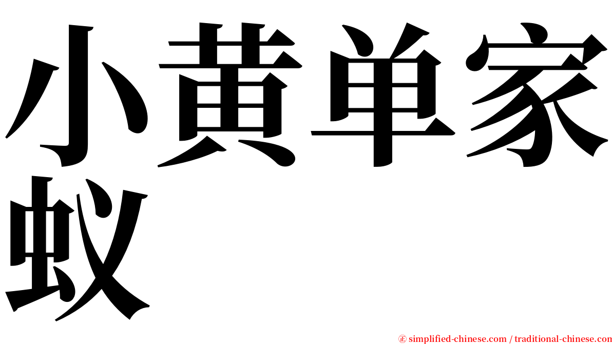 小黄单家蚁 serif font