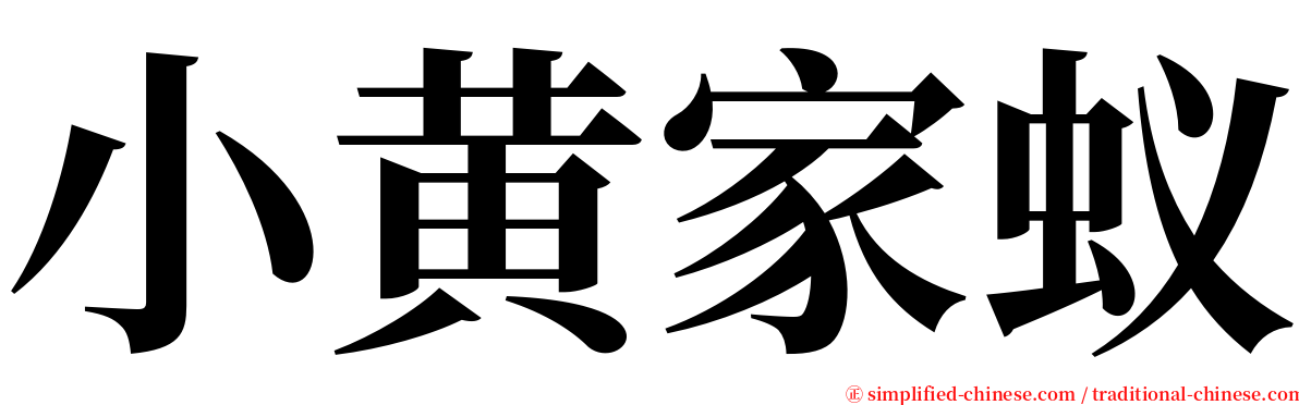 小黄家蚁 serif font