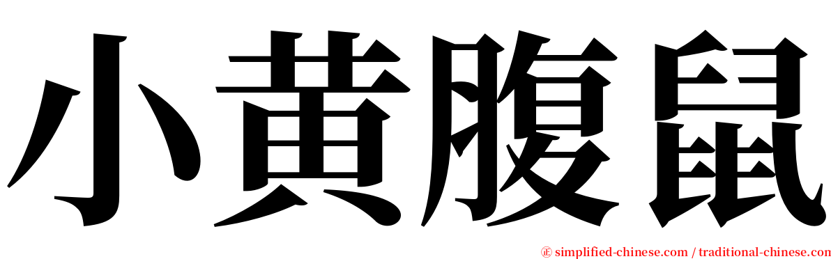 小黄腹鼠 serif font