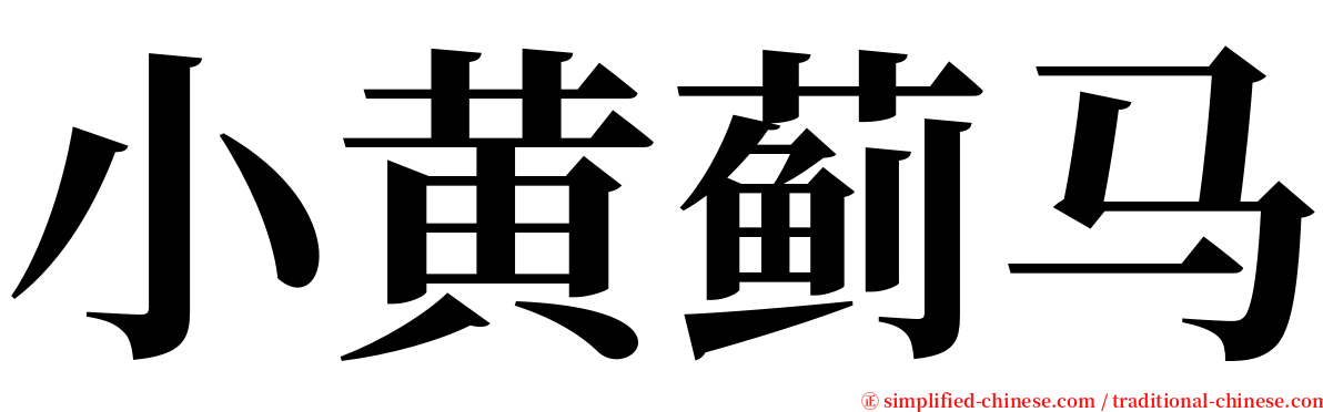 小黄蓟马 serif font