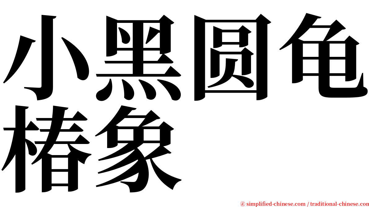 小黑圆龟椿象 serif font