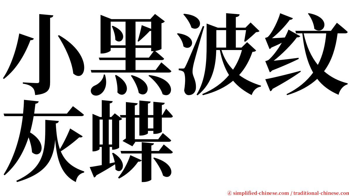 小黑波纹灰蝶 serif font