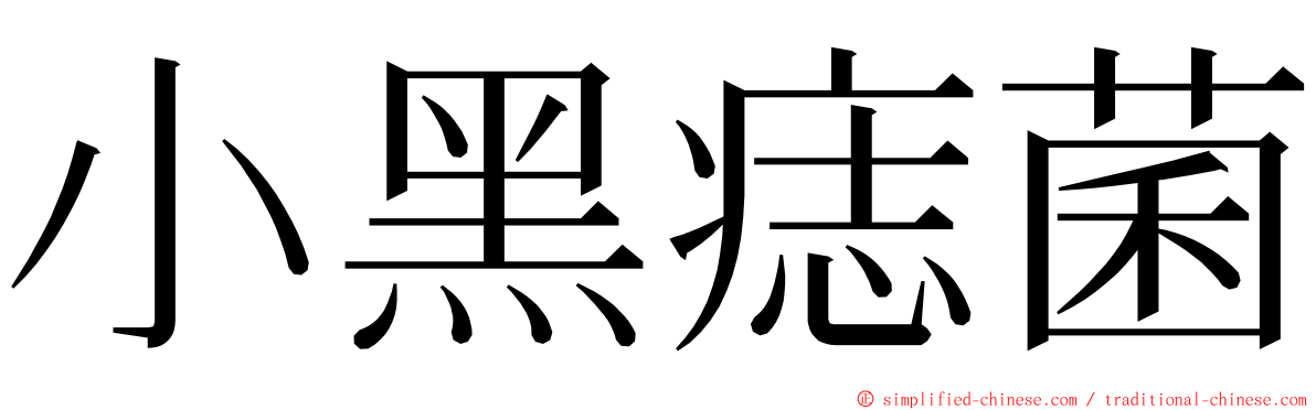 小黑痣菌 ming font