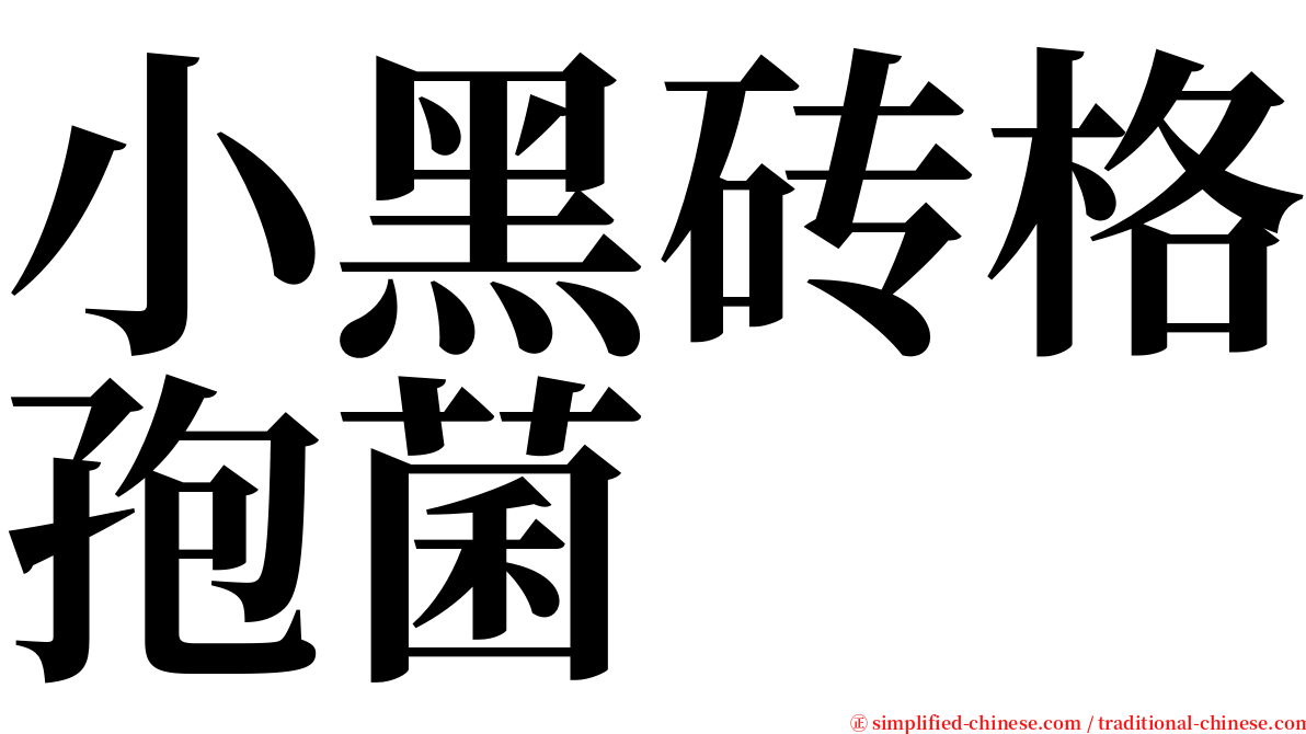 小黑砖格孢菌 serif font