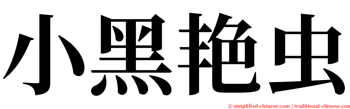 小黑艳虫 serif font