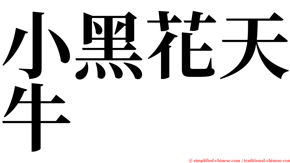 小黑花天牛 serif font