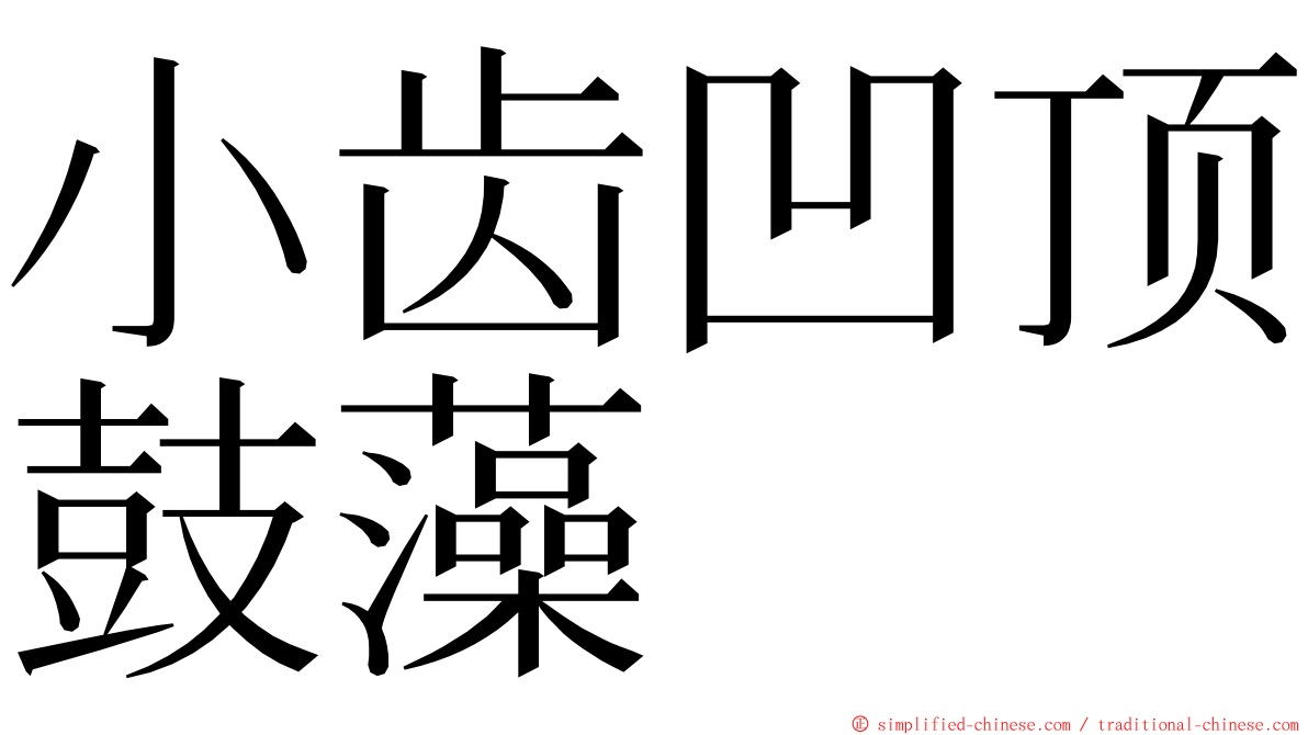 小齿凹顶鼓藻 ming font