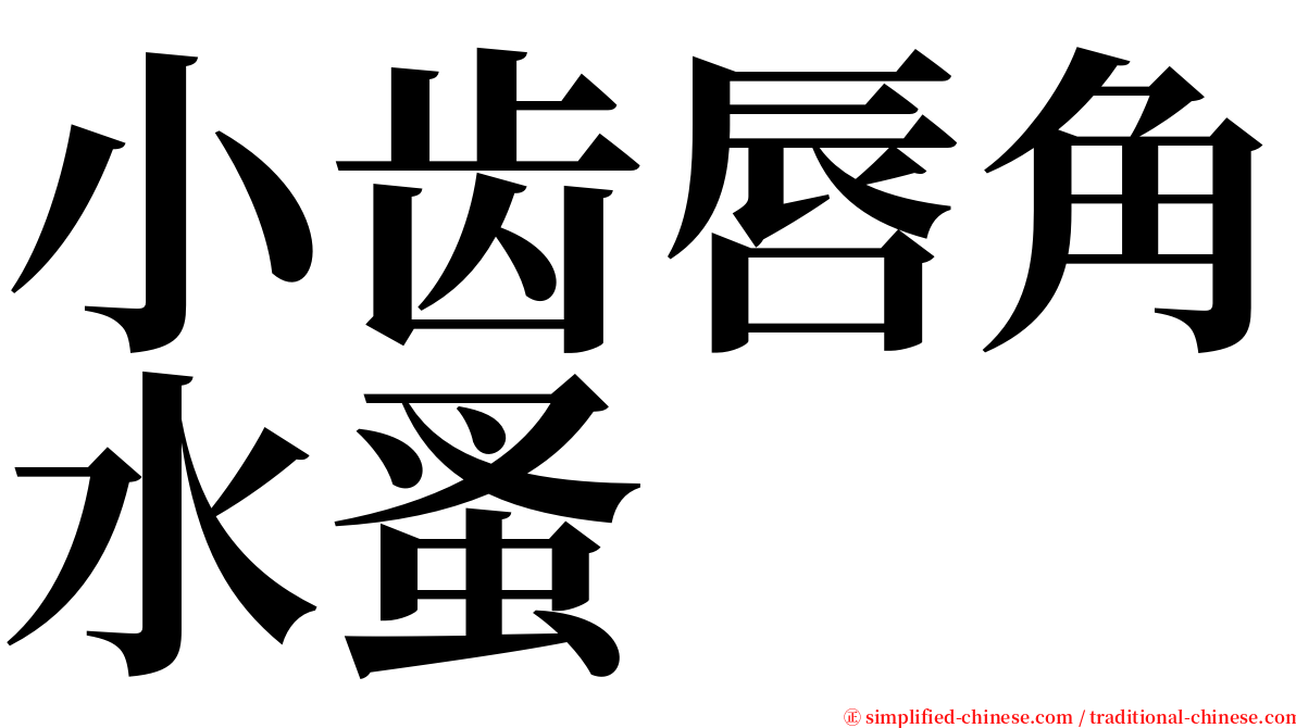 小齿唇角水蚤 serif font